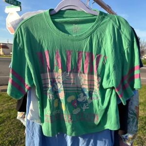 Malibu Green Disney Tee